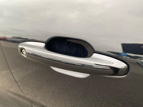 Used Ford Kuga 2022 for sale - 76293111: Photo 37