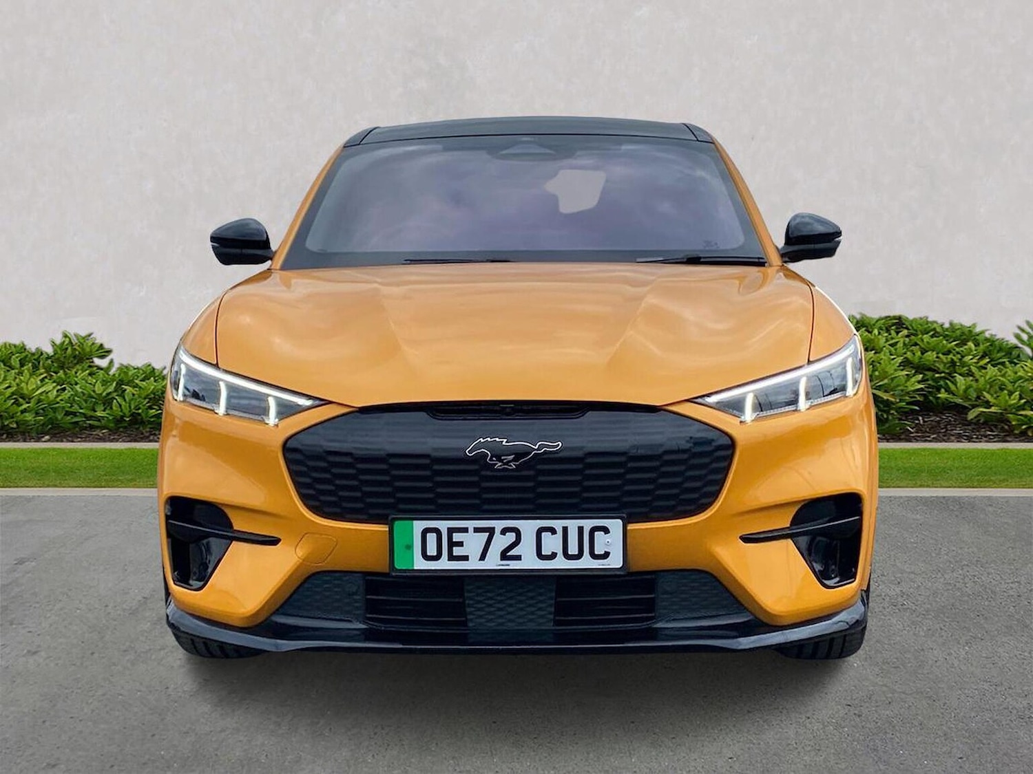 Used Ford Mustang Mach-E 2022 for sale - 78039351: Photo 5