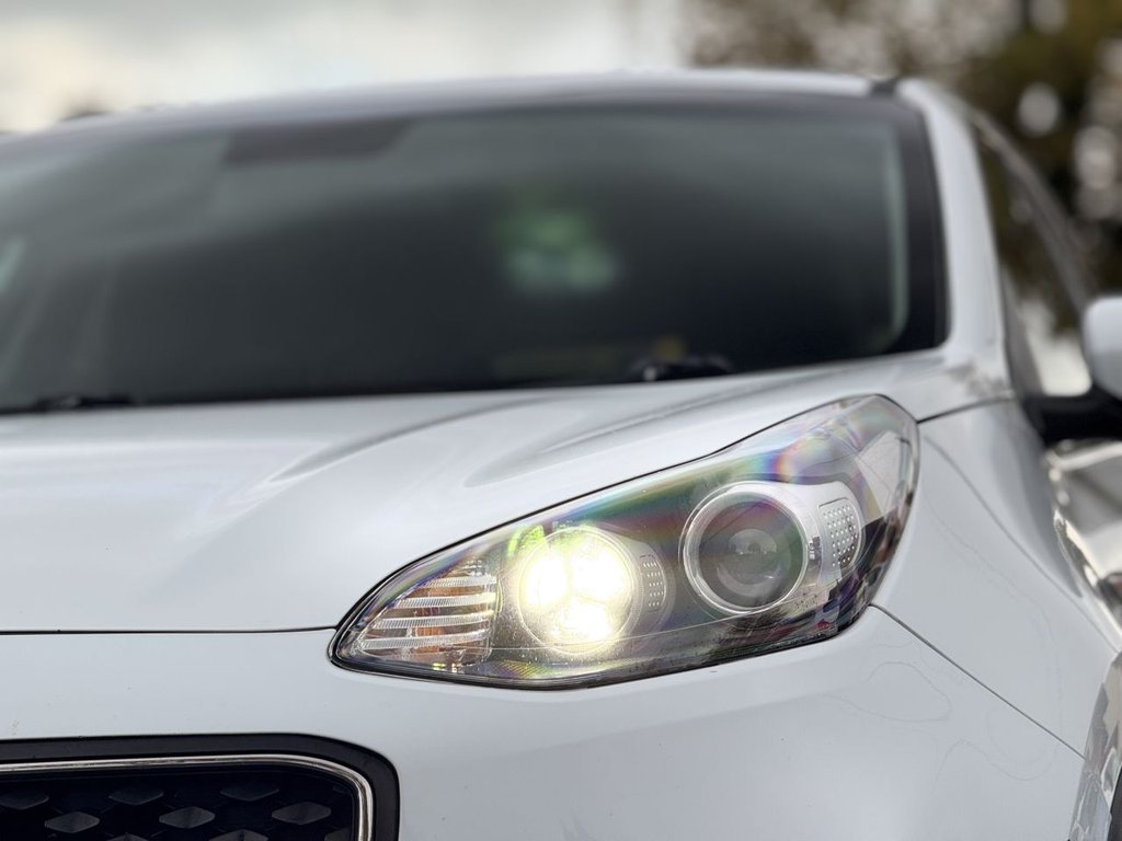 Used Kia Sportage 2016 for sale - 76459338: Photo 45