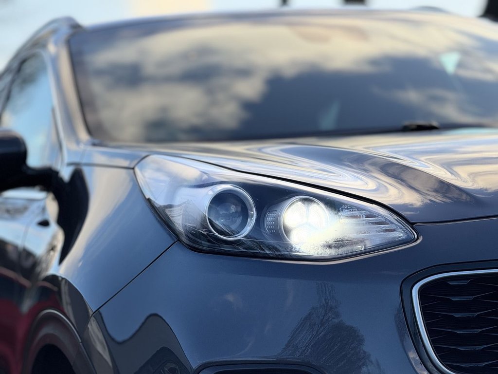 Used Kia Sportage 2016 for sale - 77171750: Photo 45