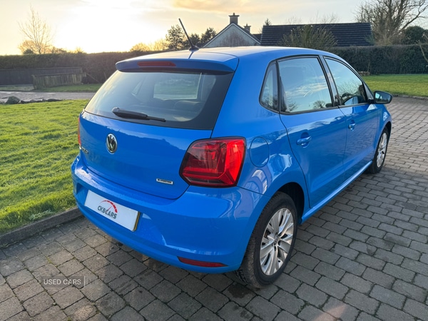 Used Volkswagen Polo 2015 for sale - 77613220: Photo 3
