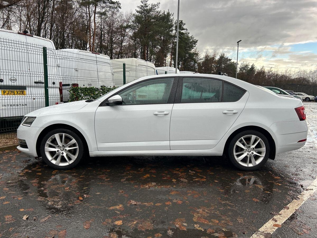 Used Skoda Octavia 2017 for sale - 76890161: Photo 6