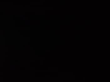 Used Ford Ranger 2021 for sale - 77197865: Photo