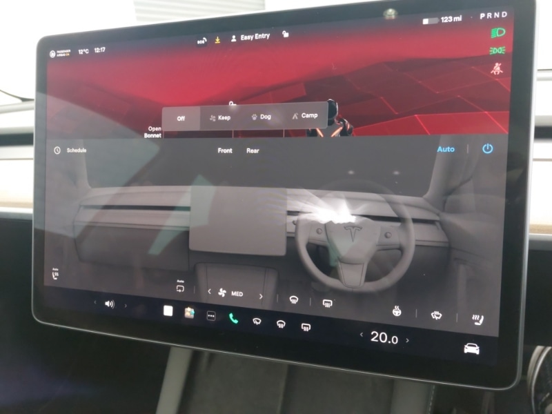 Used Tesla Model 3 2022 for sale - 78126058: Photo 14