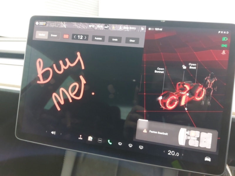 Used Tesla Model 3 2022 for sale - 78126058: Photo 19