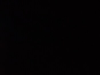 Used Ford Ranger 2021 for sale - 77085705: Photo