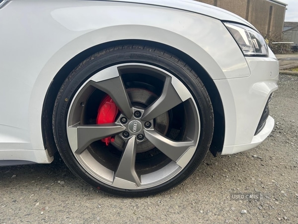 Used Audi A5 2019 for sale - 77092036: Photo 9