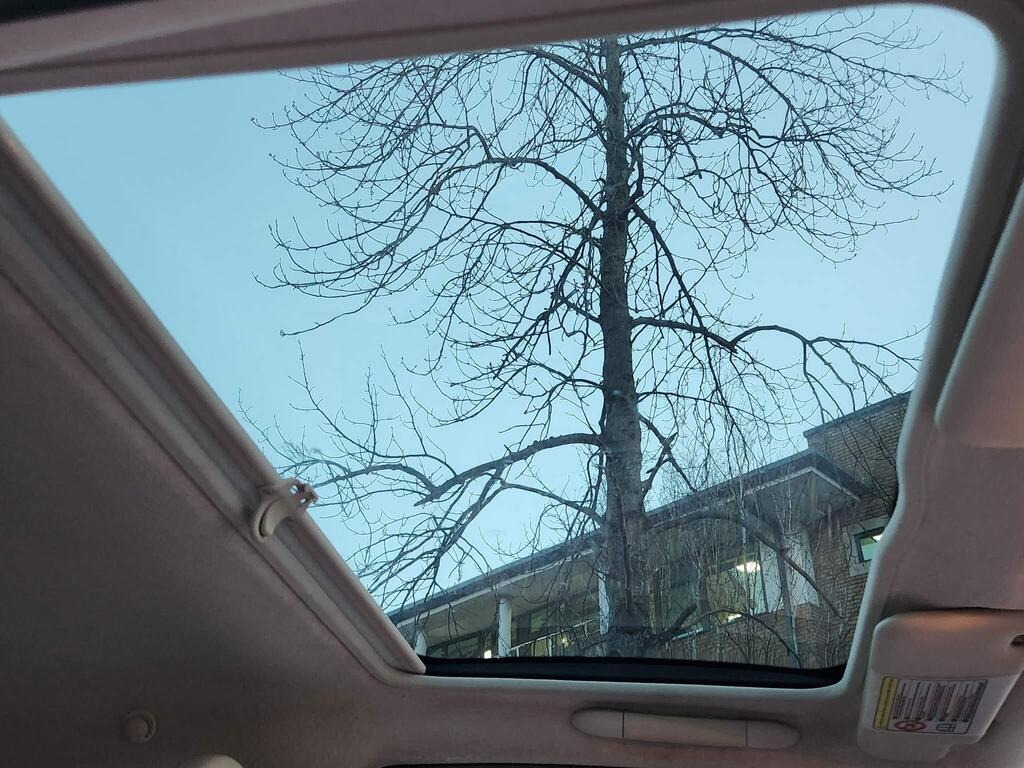 Used Fiat 500 2012 for sale - 77766590: Photo 29