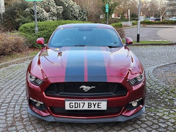 Used Ford Mustang 2017 for sale - 77766271: Photo