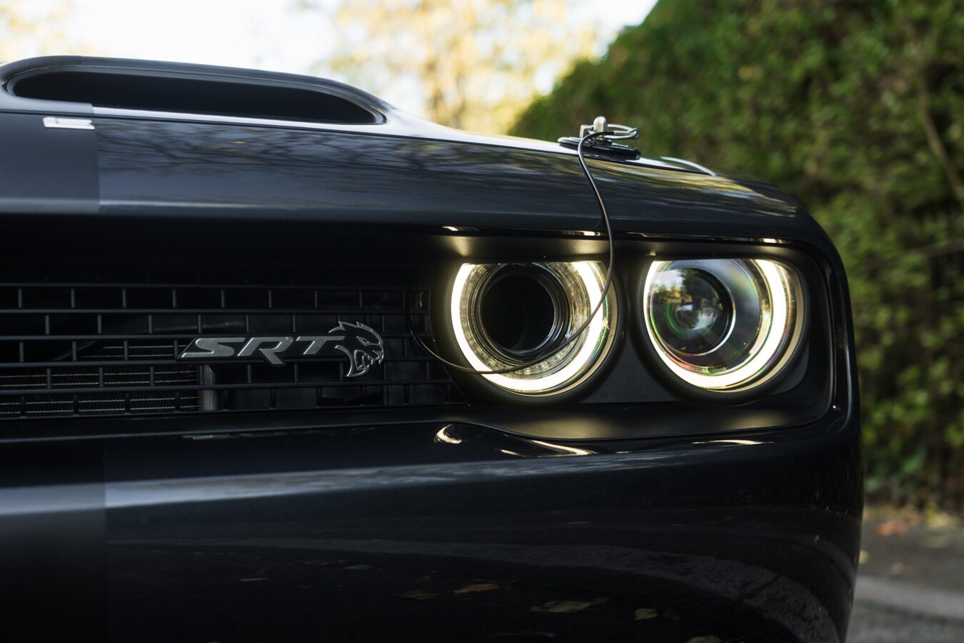 Used Dodge Challenger 2019 for sale - 78036816: Photo 11