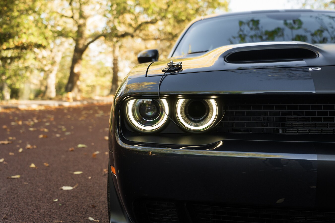 Used Dodge Challenger 2019 for sale - 78036816: Photo 12