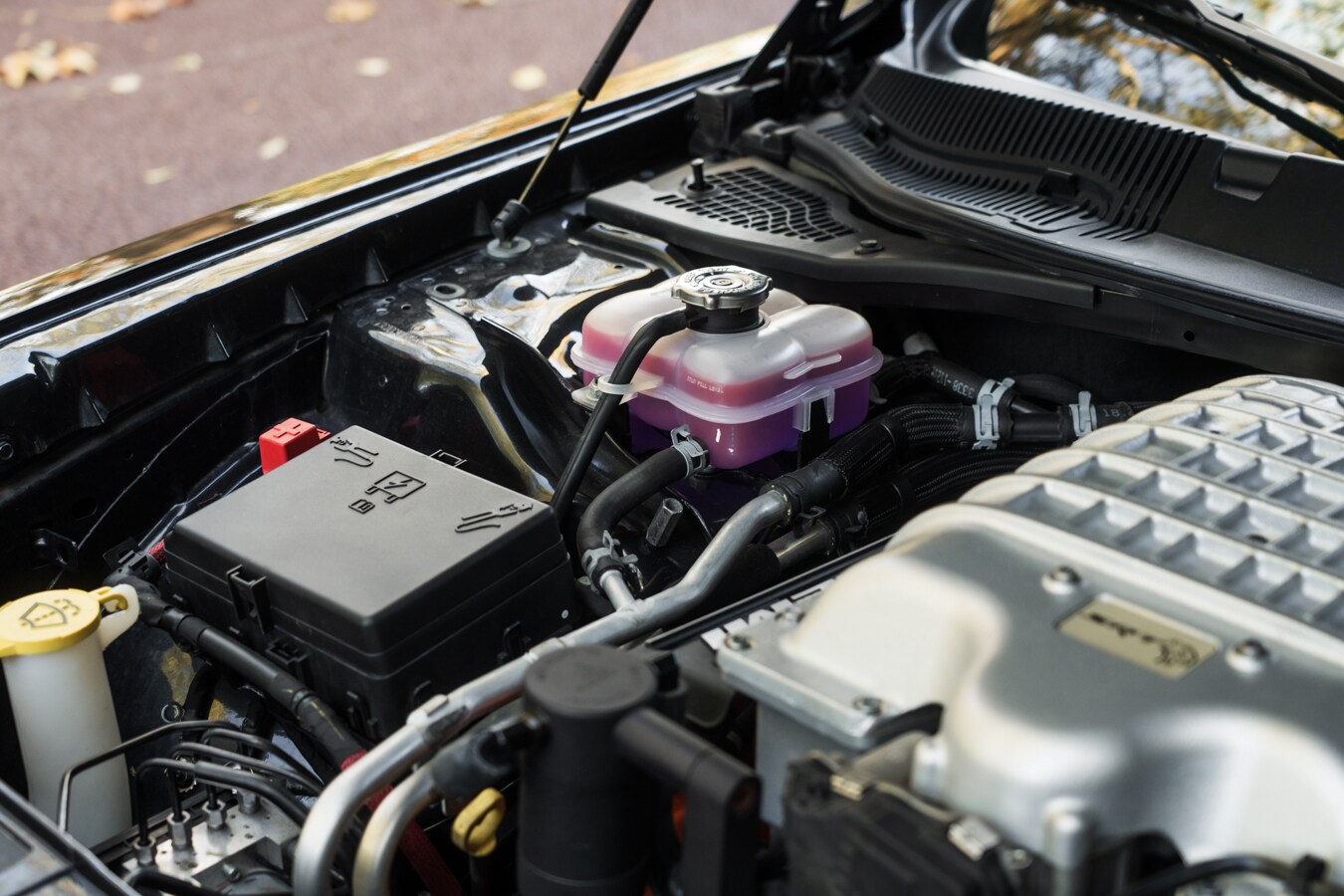 Used Dodge Challenger 2019 for sale - 78036816: Photo 48