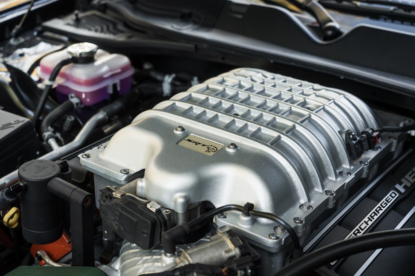 Used Dodge Challenger 2019 for sale - 78036816: Photo 49