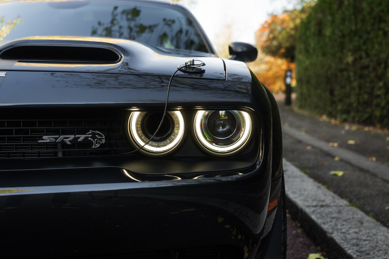 Used Dodge Challenger 2019 for sale - 78036816: Photo 9