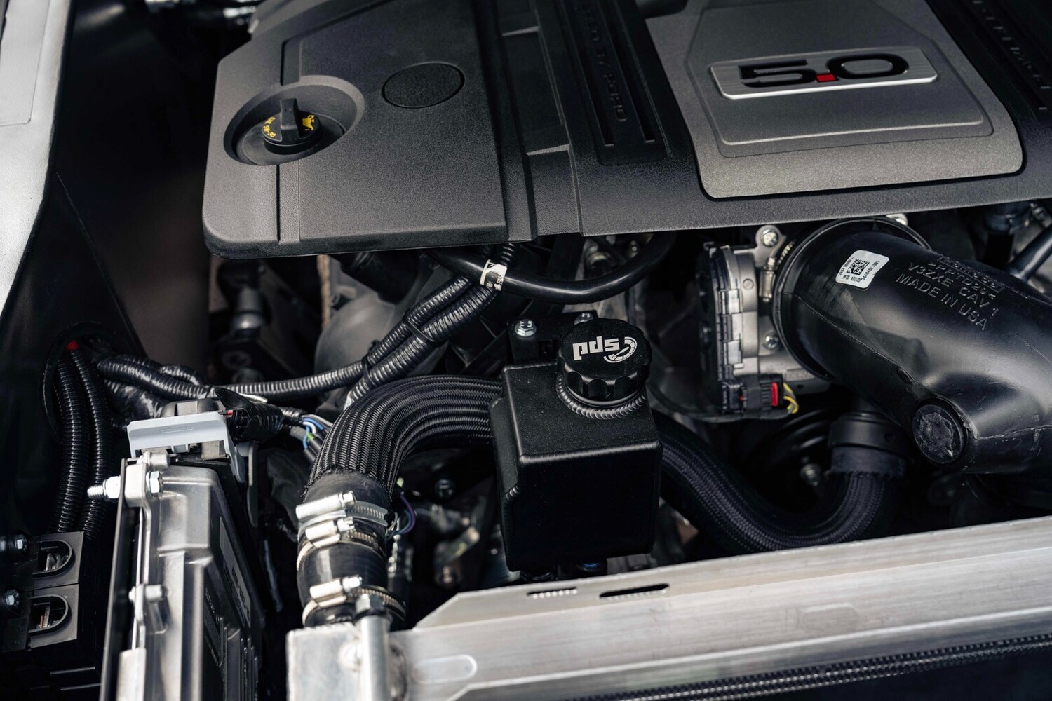 Used Ford Mustang 1967 for sale - 76229163: Photo 47