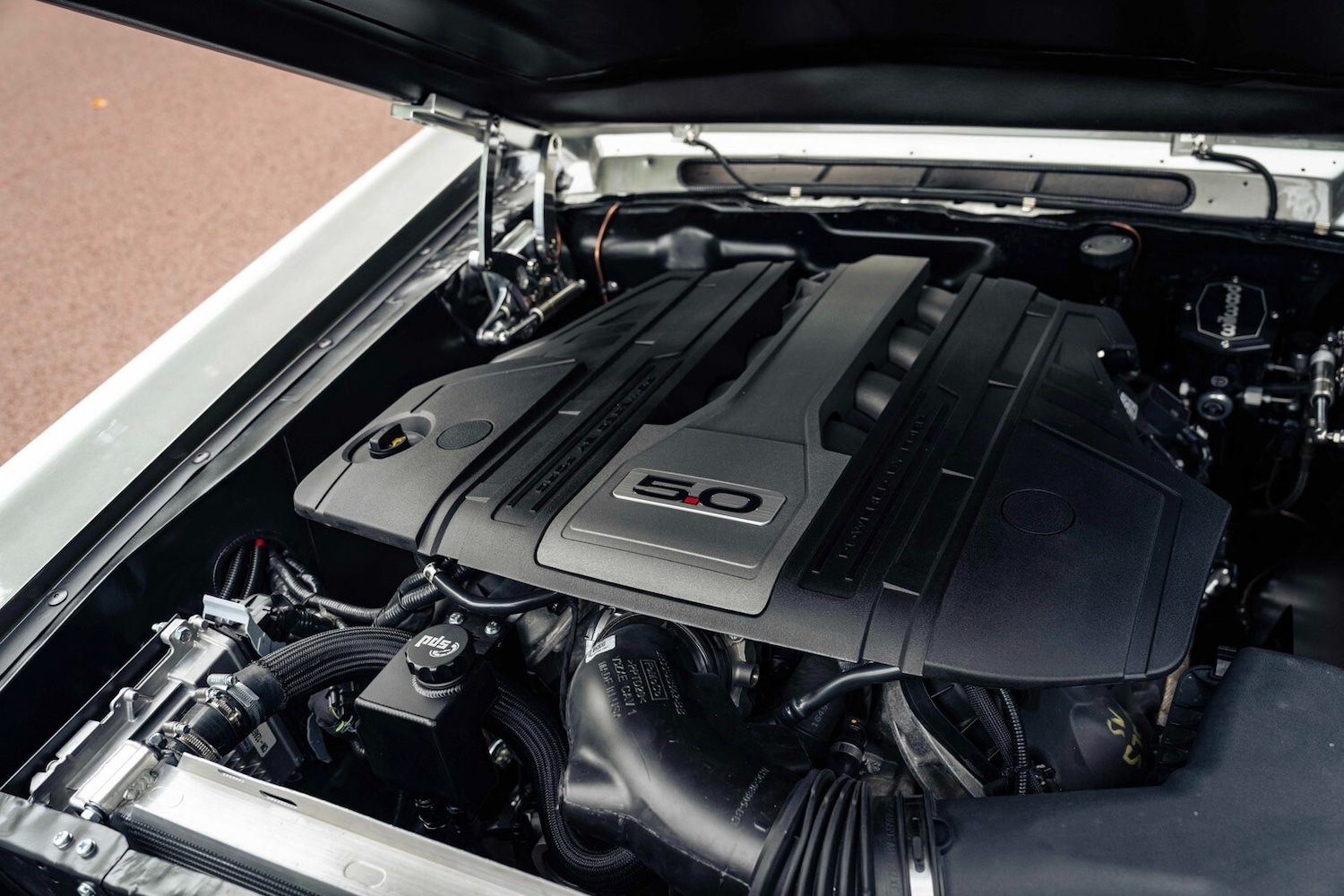 Used Ford Mustang 1967 for sale - 76229163: Photo 48