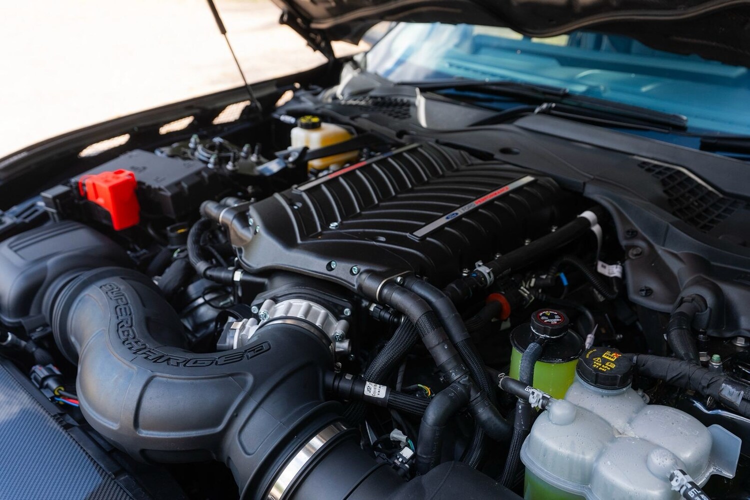 Used Ford Mustang 2025 for sale - 76332268: Photo 35