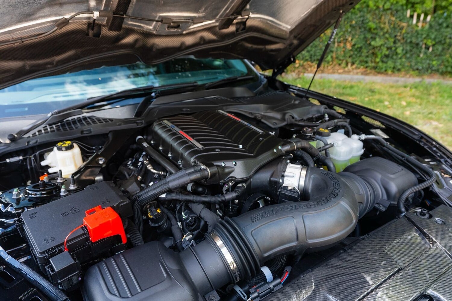 Used Ford Mustang 2025 for sale - 76332268: Photo 36