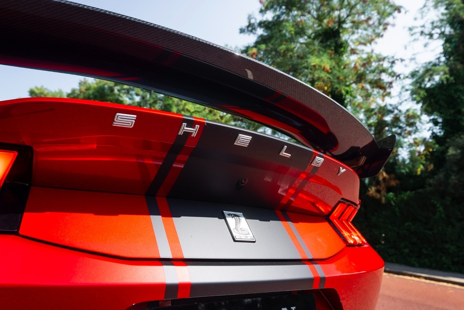 Used Ford Mustang 2025 for sale - 76217168: Photo 13