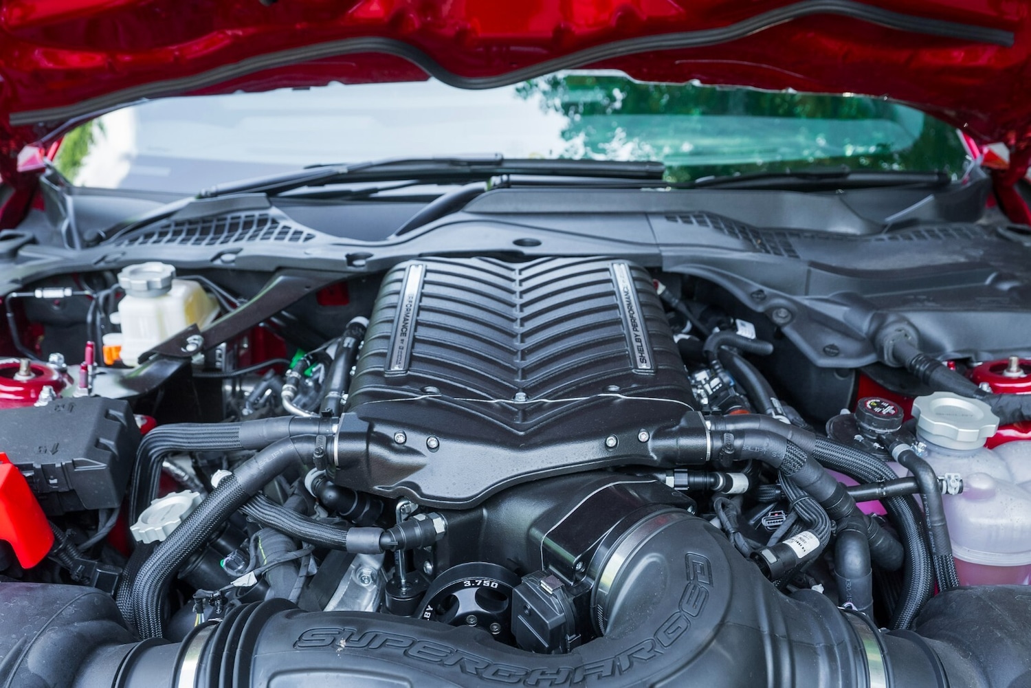 Used Ford Mustang 2025 for sale - 76217168: Photo 50