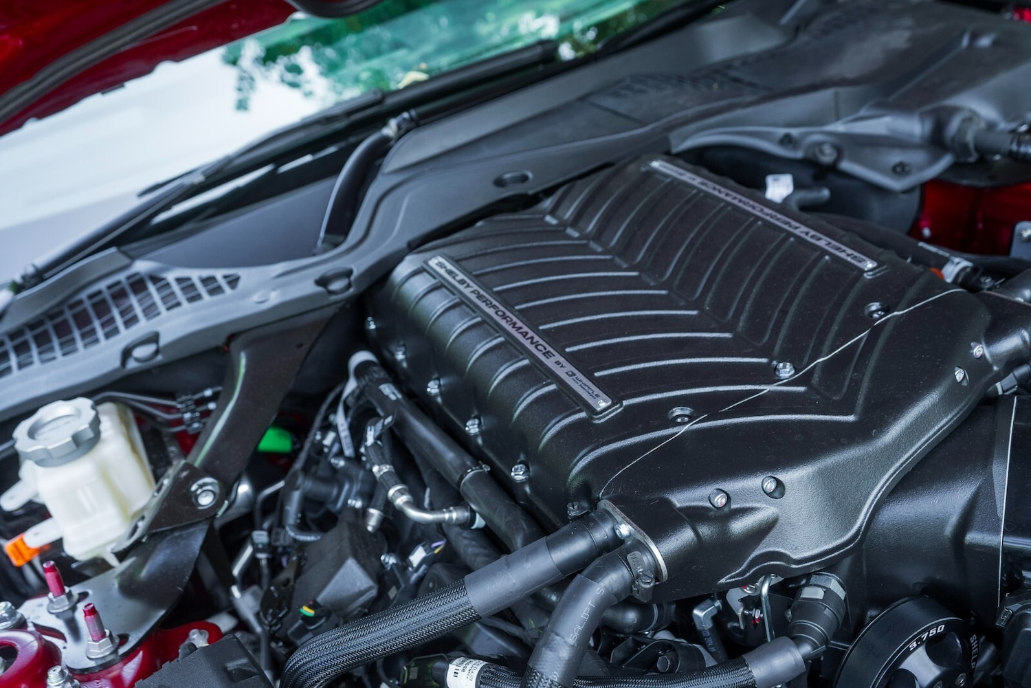 Used Ford Mustang 2025 for sale - 76217168: Photo 51