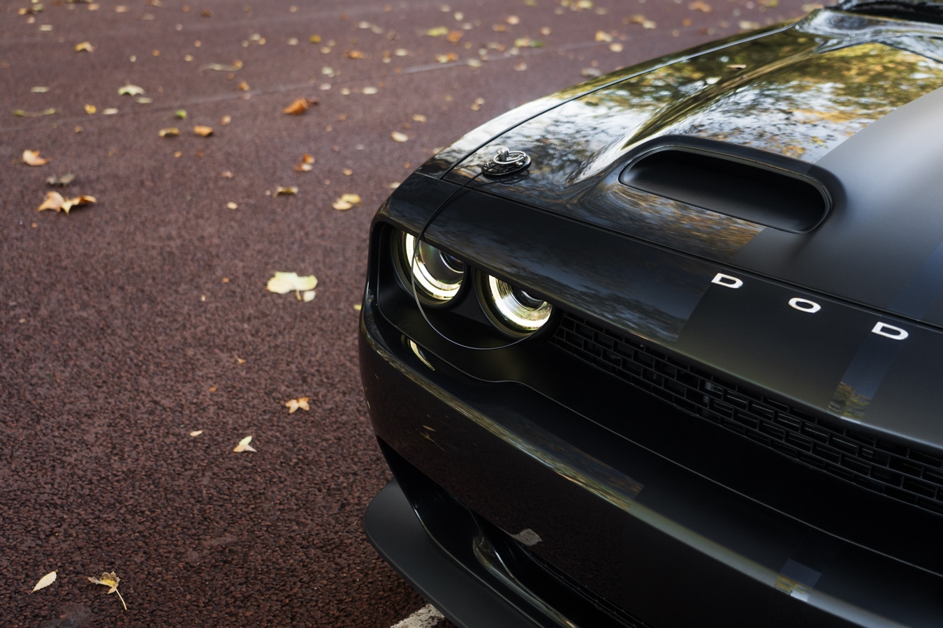 Used Dodge Challenger 2019 for sale - 76400790: Photo 13