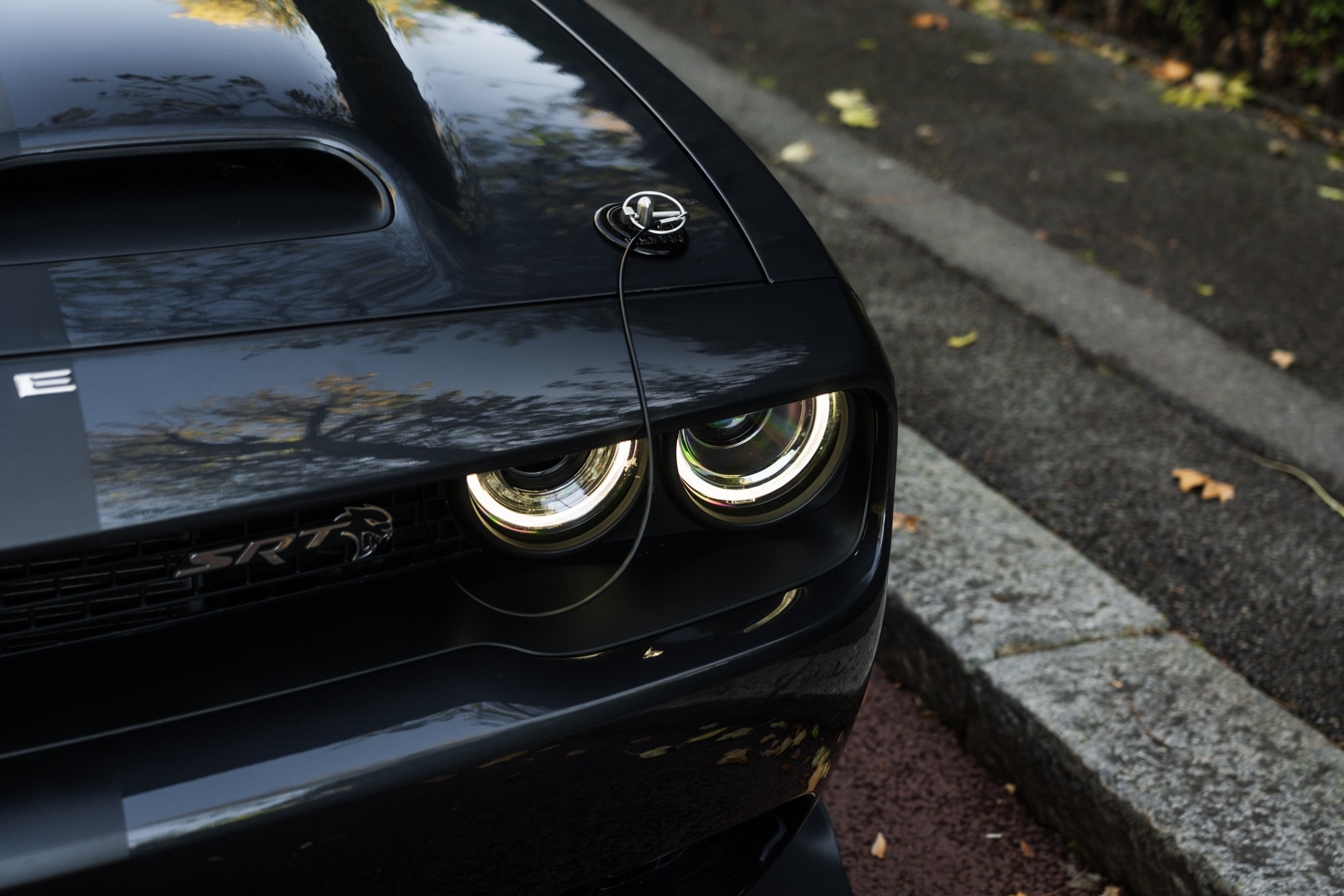 Used Dodge Challenger 2019 for sale - 76400790: Photo 14