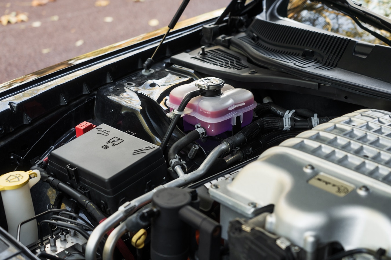 Used Dodge Challenger 2019 for sale - 76400790: Photo 48