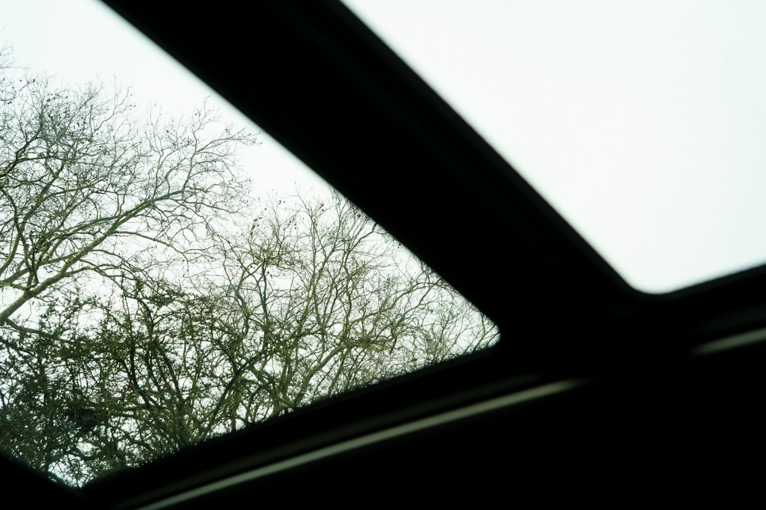 Used BMW X5 M 2020 for sale - 77047717: Photo 34