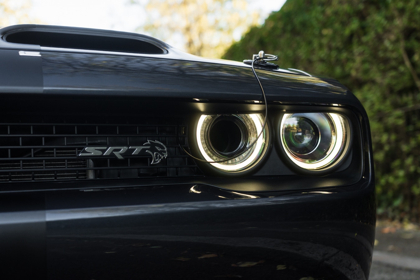 Used Dodge Challenger 2019 for sale - 77210146: Photo 11