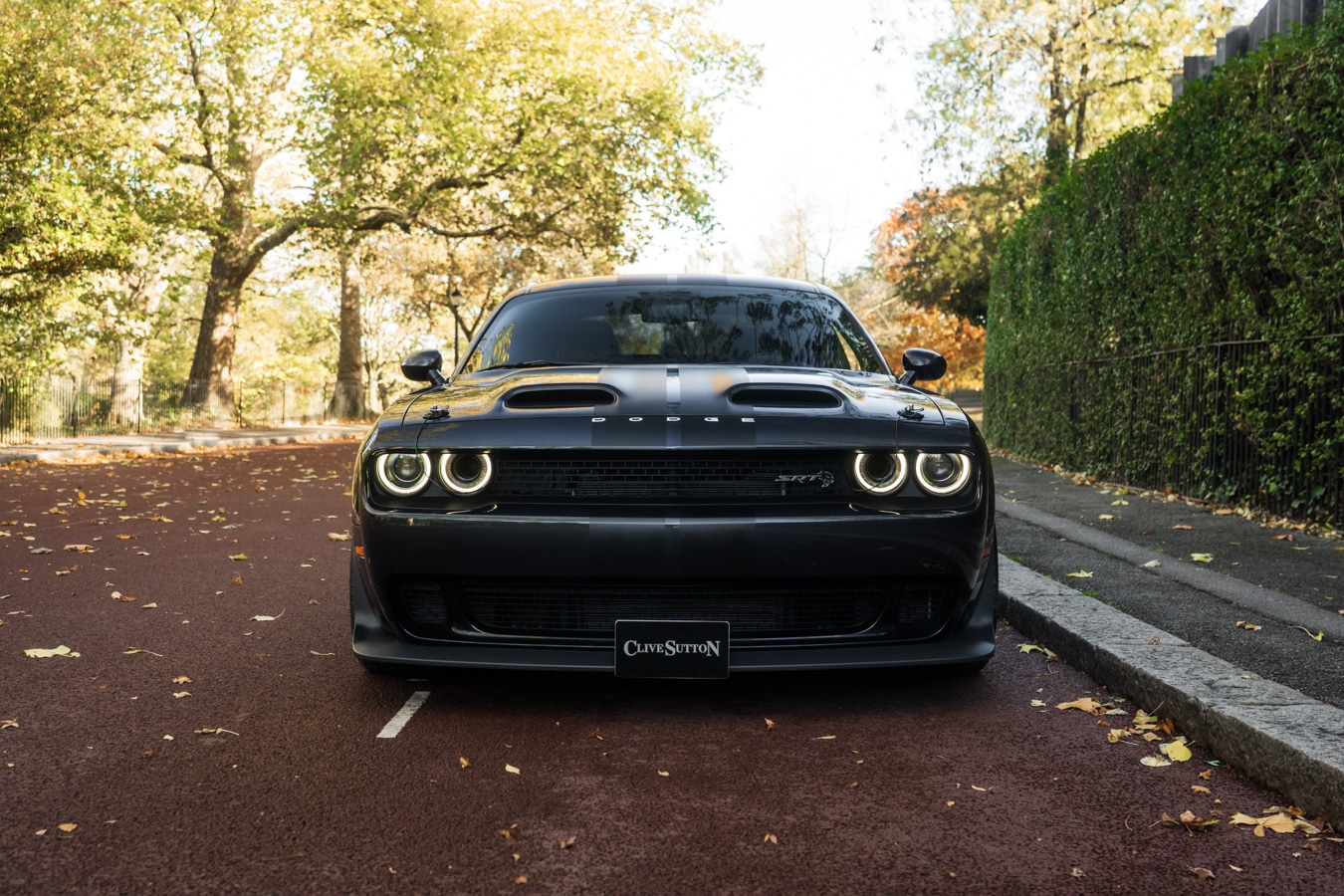 Used Dodge Challenger 2019 for sale - 77210146: Photo 2