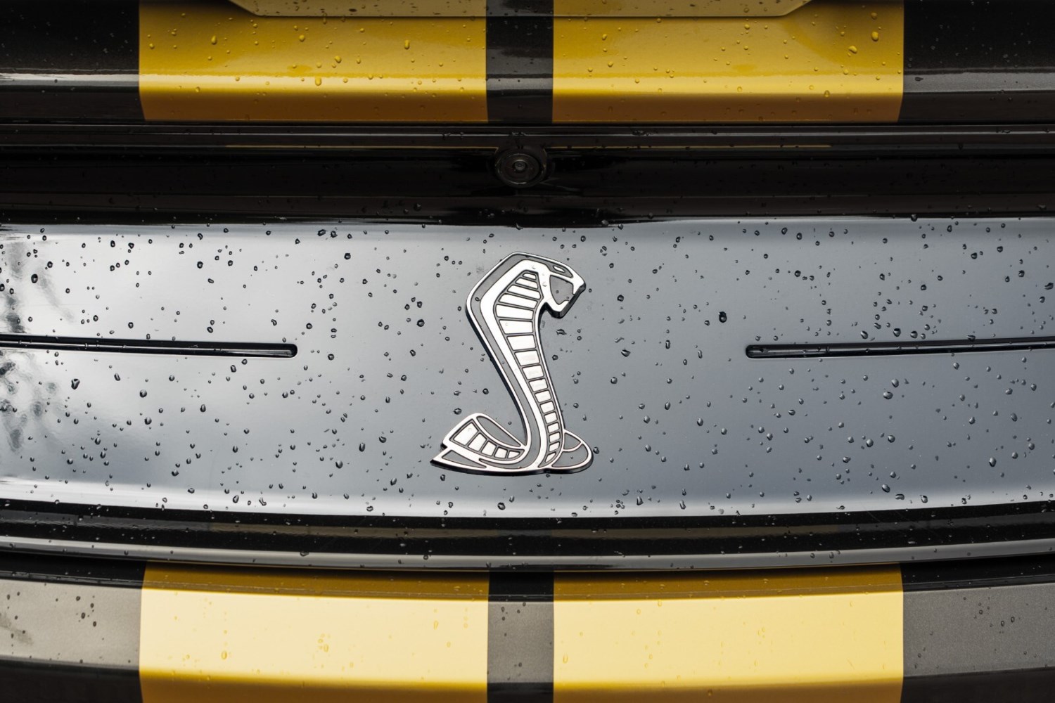 2022 Ford Mustang Shelby GT500 Coupe Petrol Automatic - Picture 10 of 24