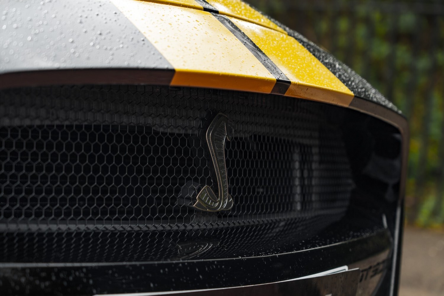 2022 Ford Mustang Shelby GT500 Coupe Petrol Automatic - Picture 20 of 24
