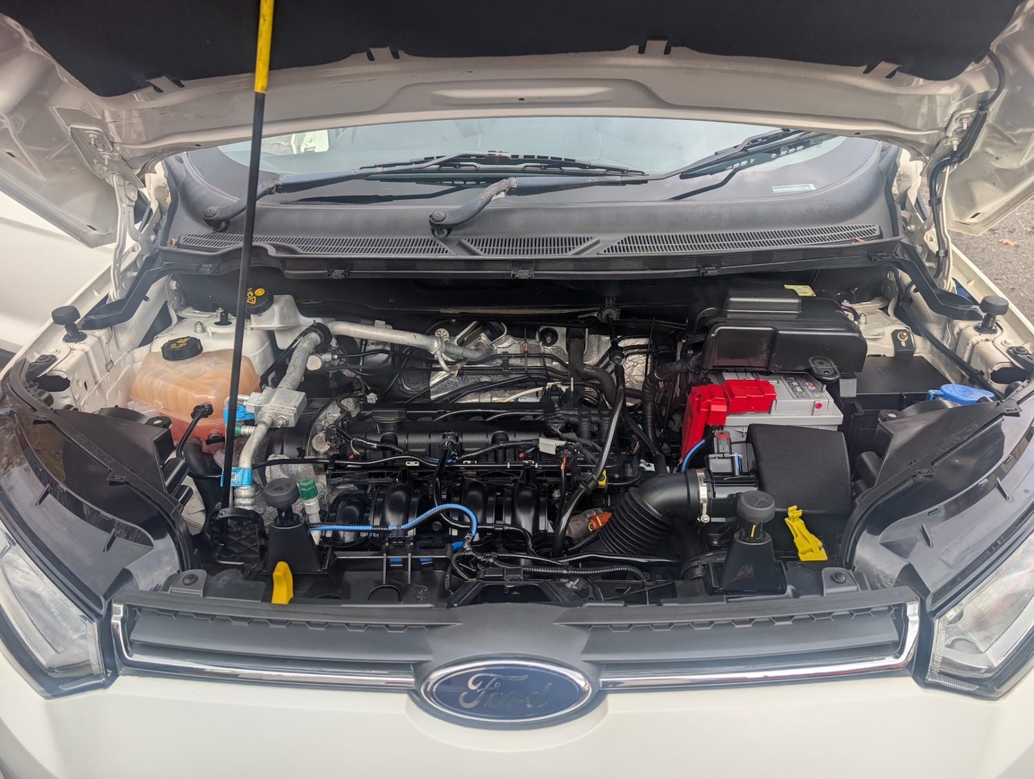 Used Ford Ecosport 2016 for sale - 76407767: Photo 14