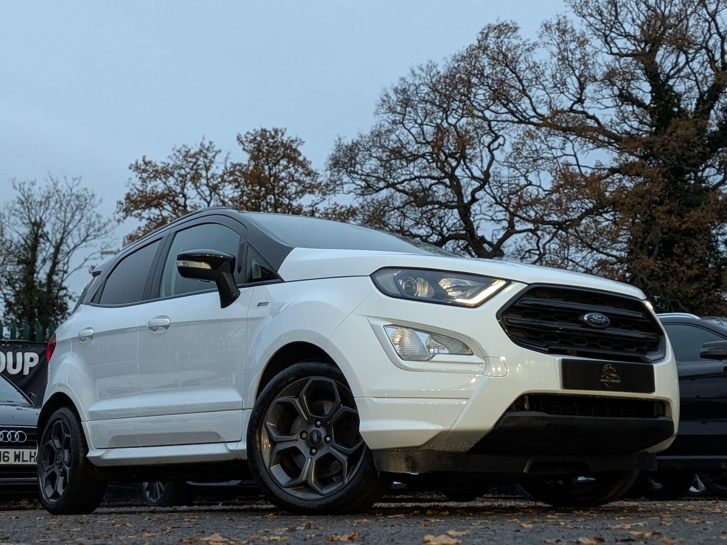 Used Ford Ecosport 2019 for sale - 77411032: Photo 3