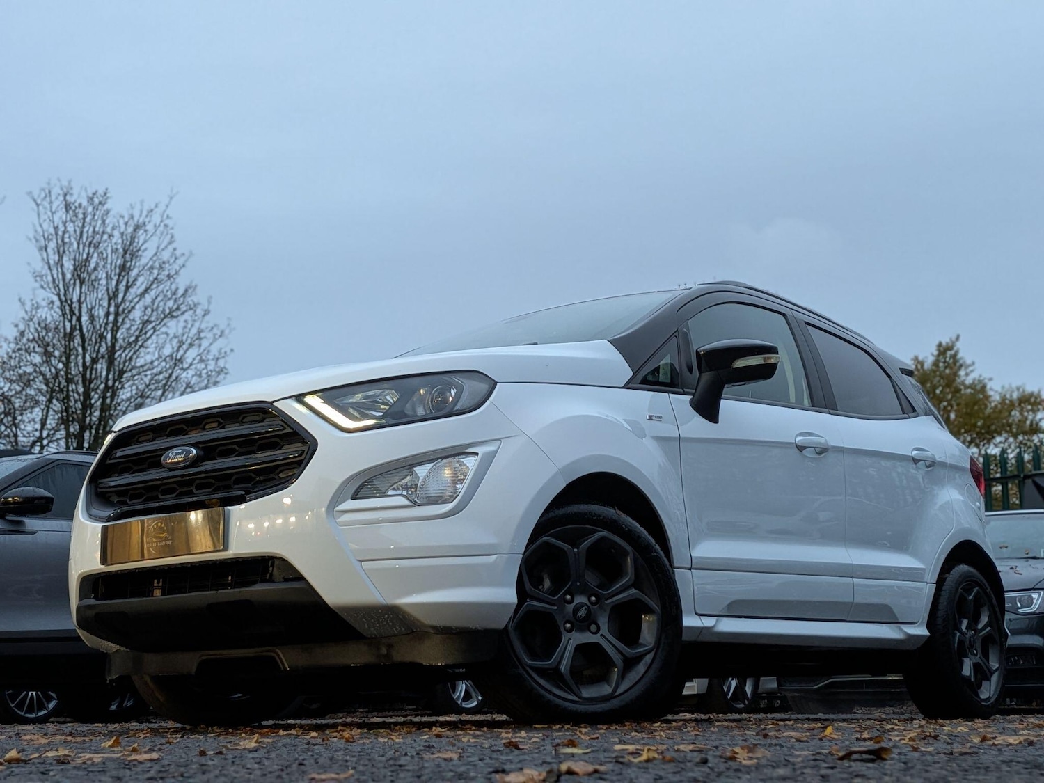 Used Ford Ecosport 2019 for sale - 77411032: Photo 5