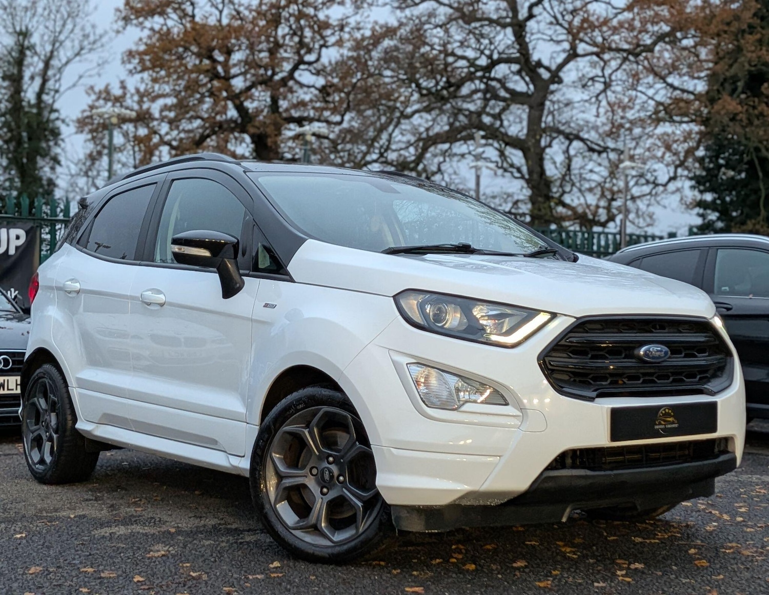 Used Ford Ecosport 2019 for sale - 76855971: Photo 14