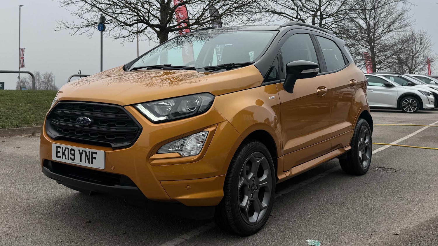 Used Ford Ecosport 2019 for sale - 77859769: Photo 11