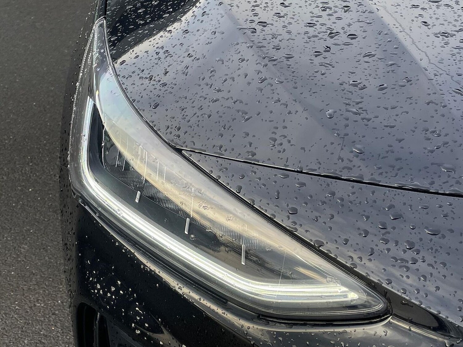 Used Ford Focus 2024 for sale - 77896211: Photo 33