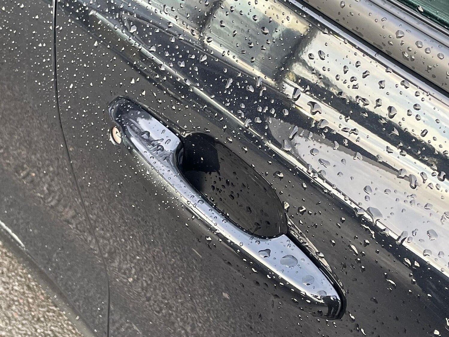 Used Ford Focus 2024 for sale - 77896211: Photo 36