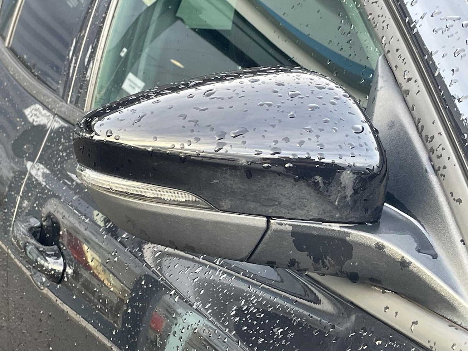 Used Ford Focus 2024 for sale - 77896211: Photo 37