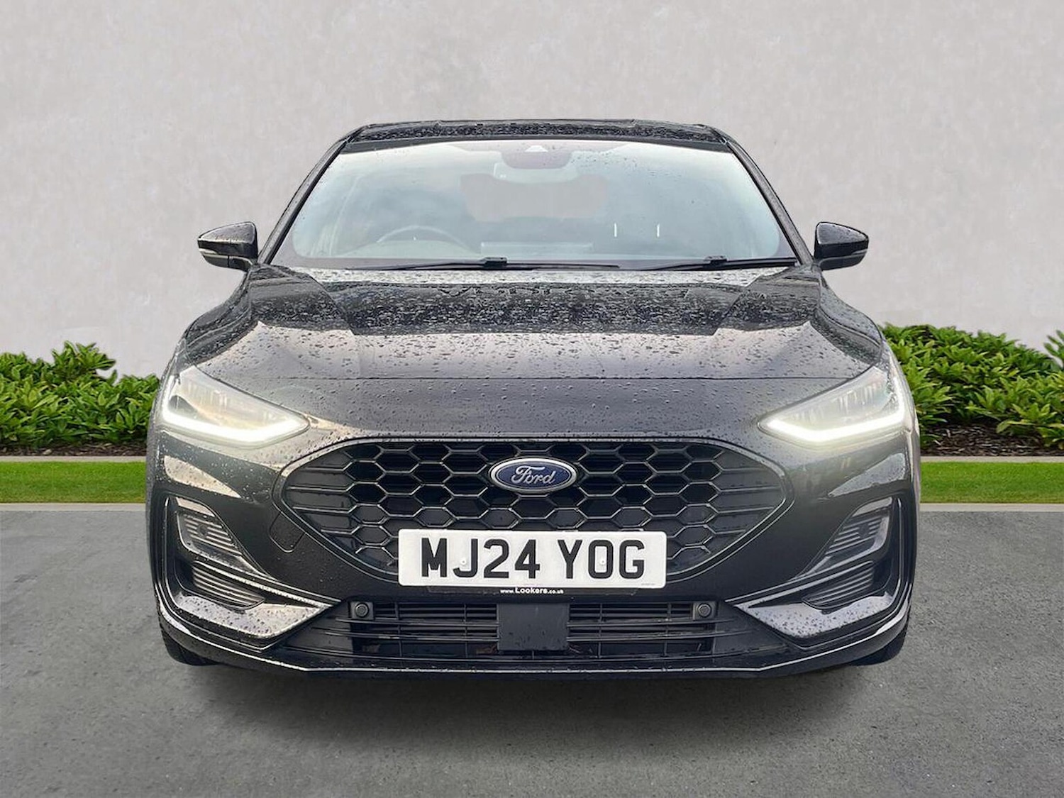 Used Ford Focus 2024 for sale - 77896211: Photo 5