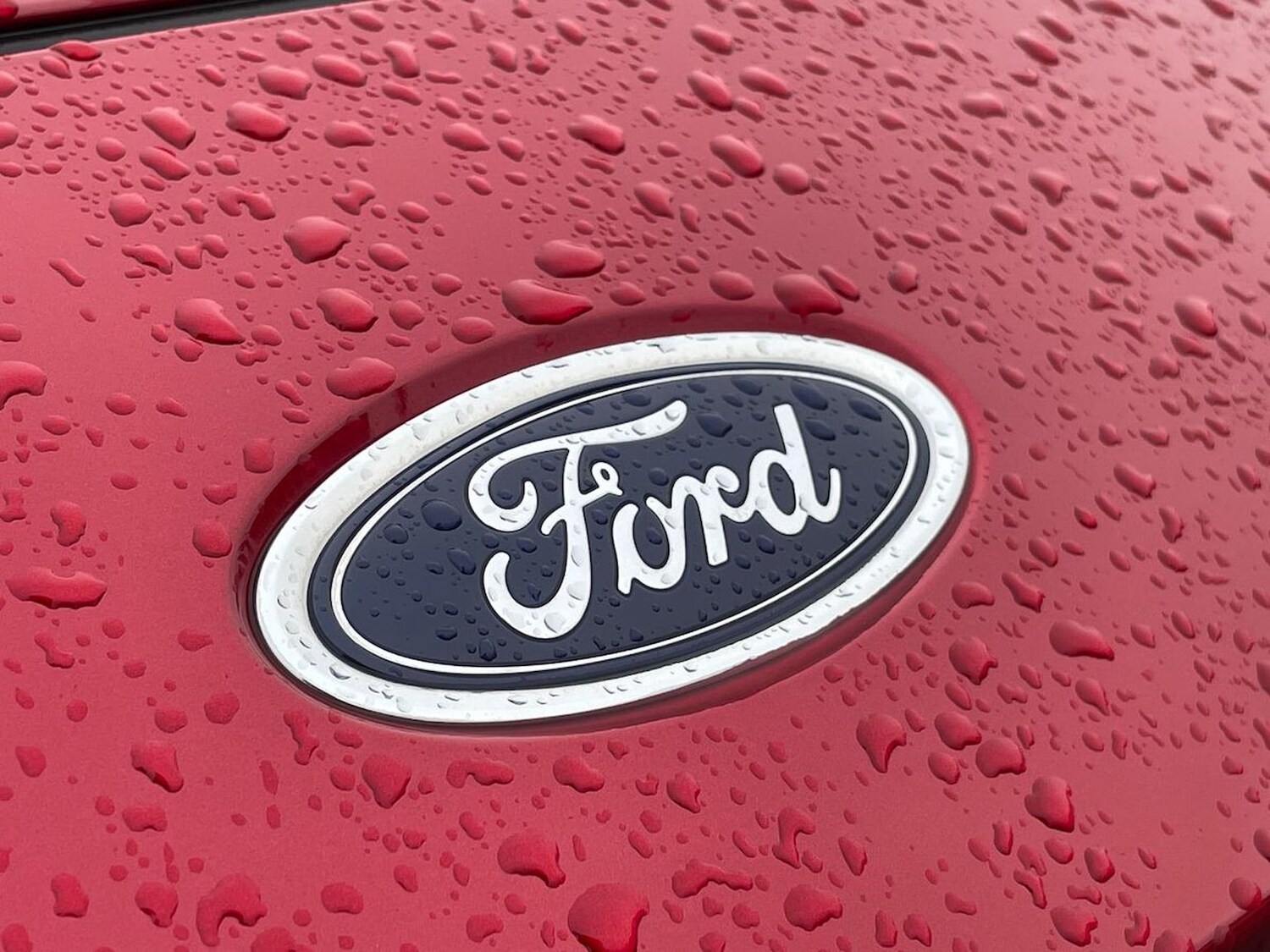 Used Ford Kuga 2024 for sale - 77489422: Photo 32