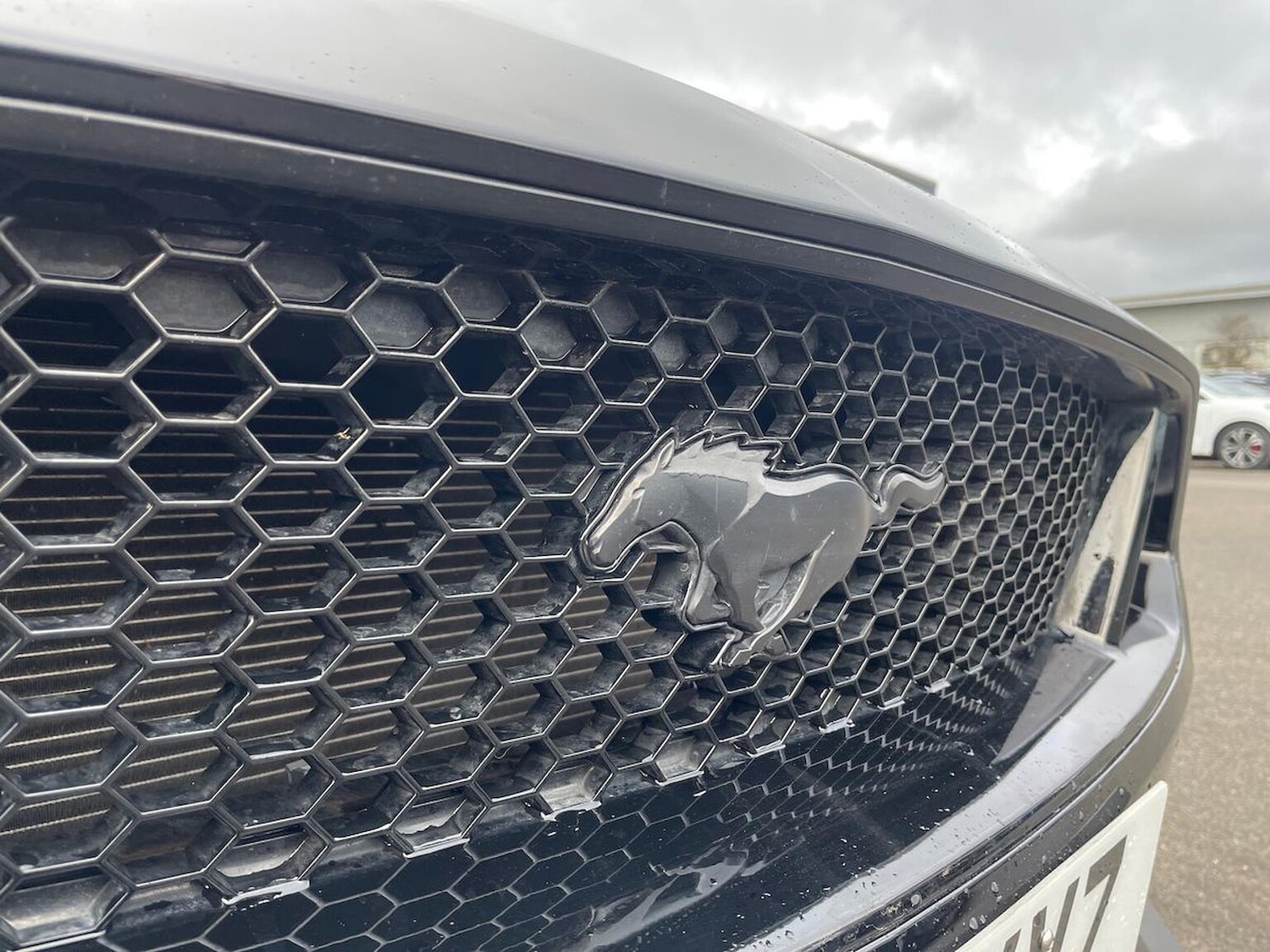 Used Ford Mustang 2018 for sale - 76920074: Photo 33