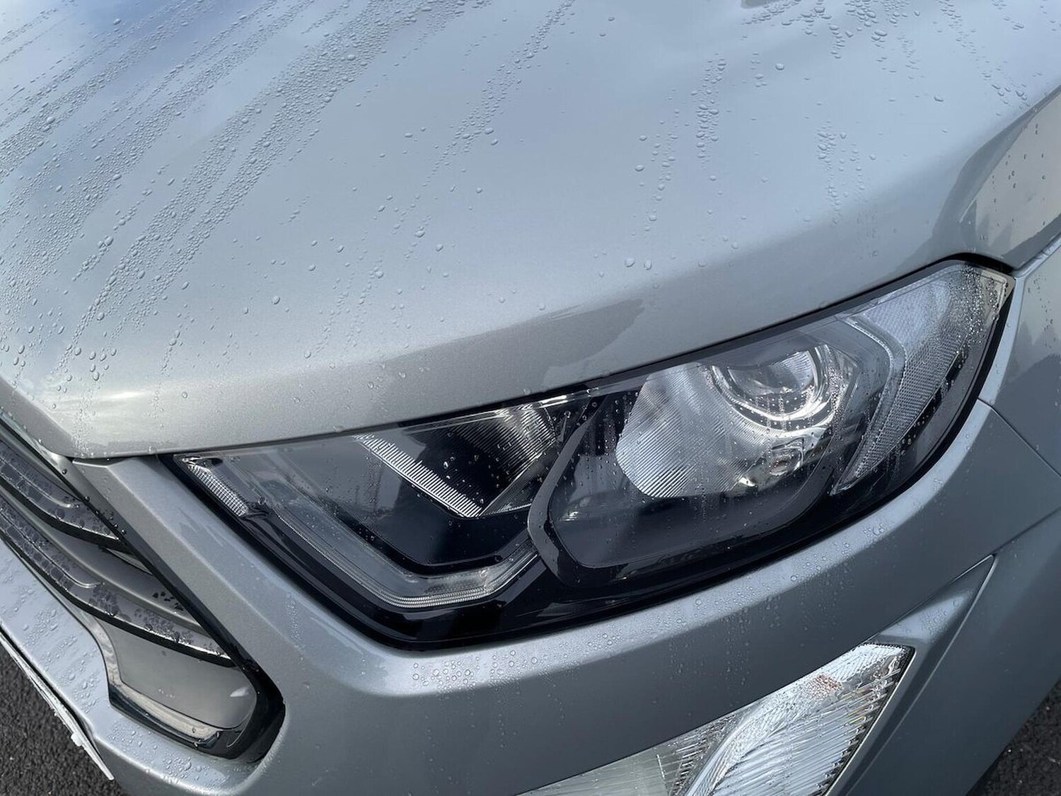 Used Ford Ecosport 2023 for sale - 77701359: Photo 32