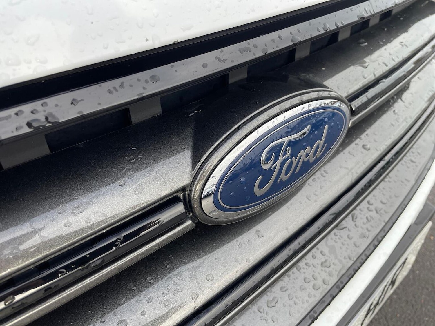 Used Ford Kuga 2019 for sale - 76628024: Photo 33
