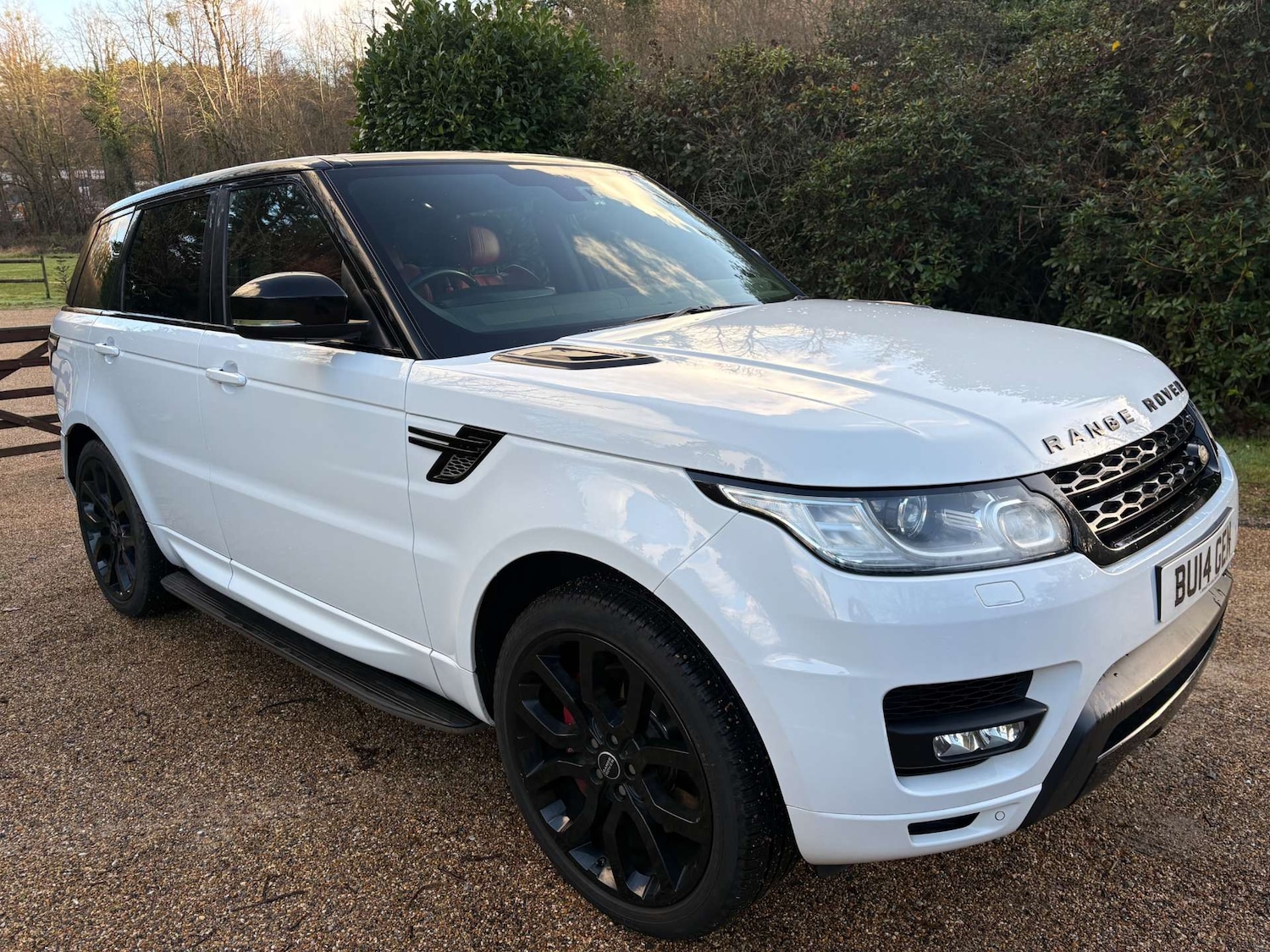 Used Land Rover Range Rover Sport 2014 for sale - 77022495: Photo 31