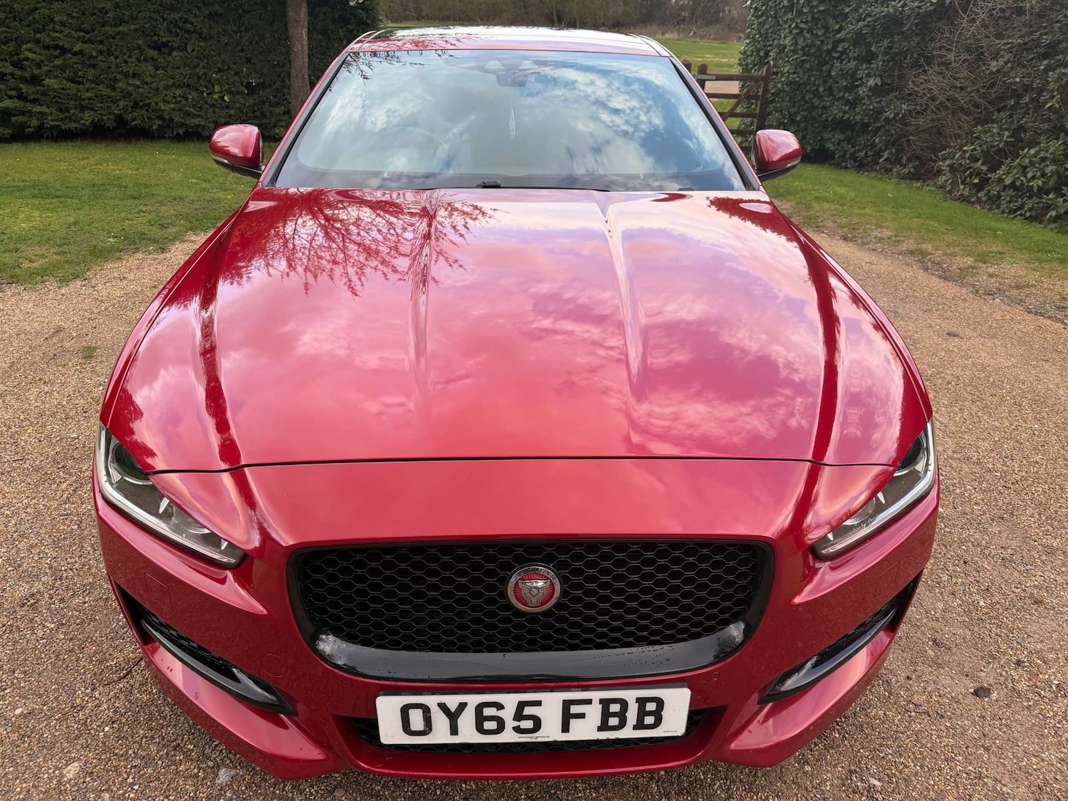 Used Jaguar XE 2015 for sale - 77877242: Photo 3