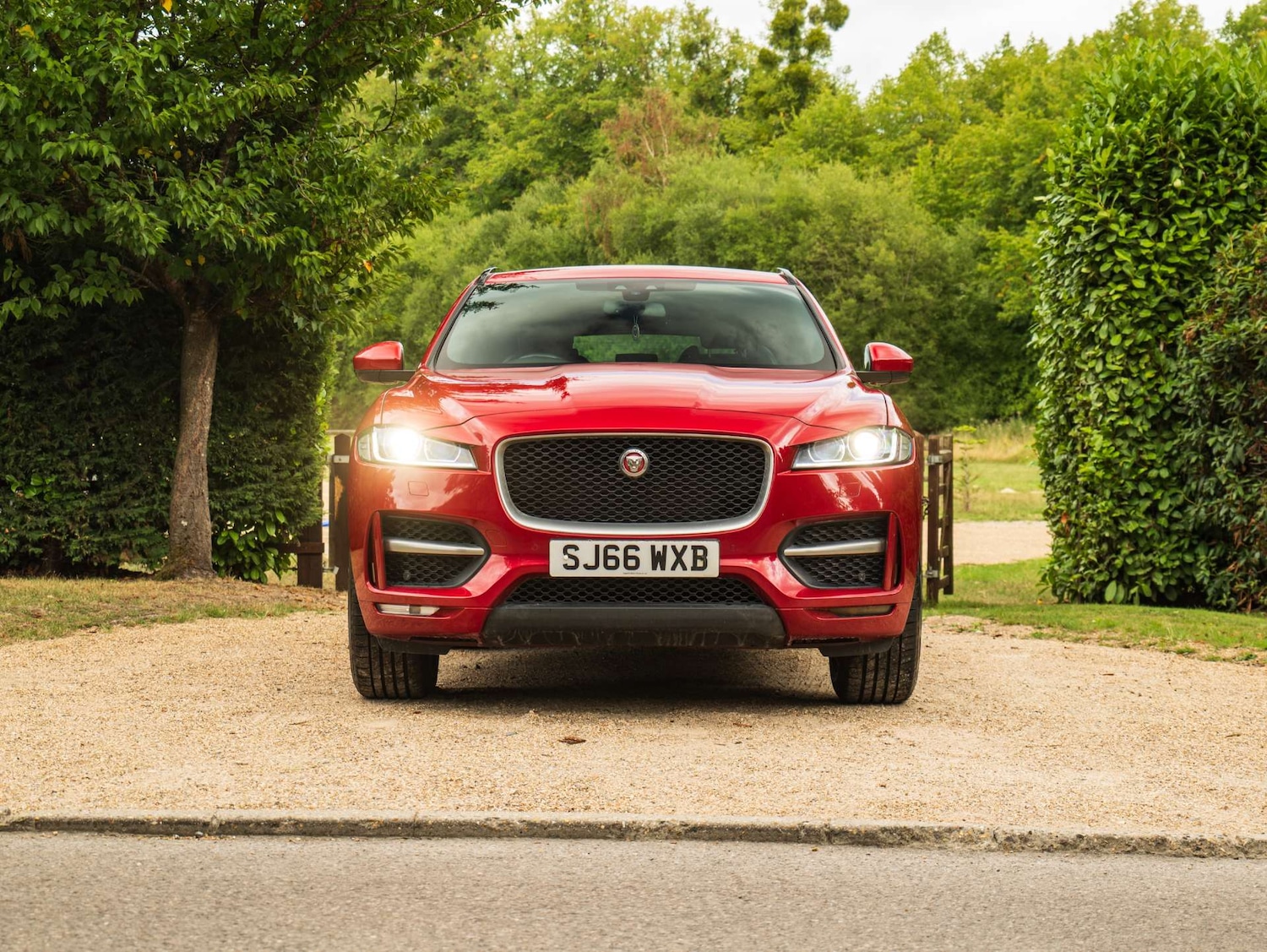 Used Jaguar F-Pace 2016 for sale - 76277395: Photo 15