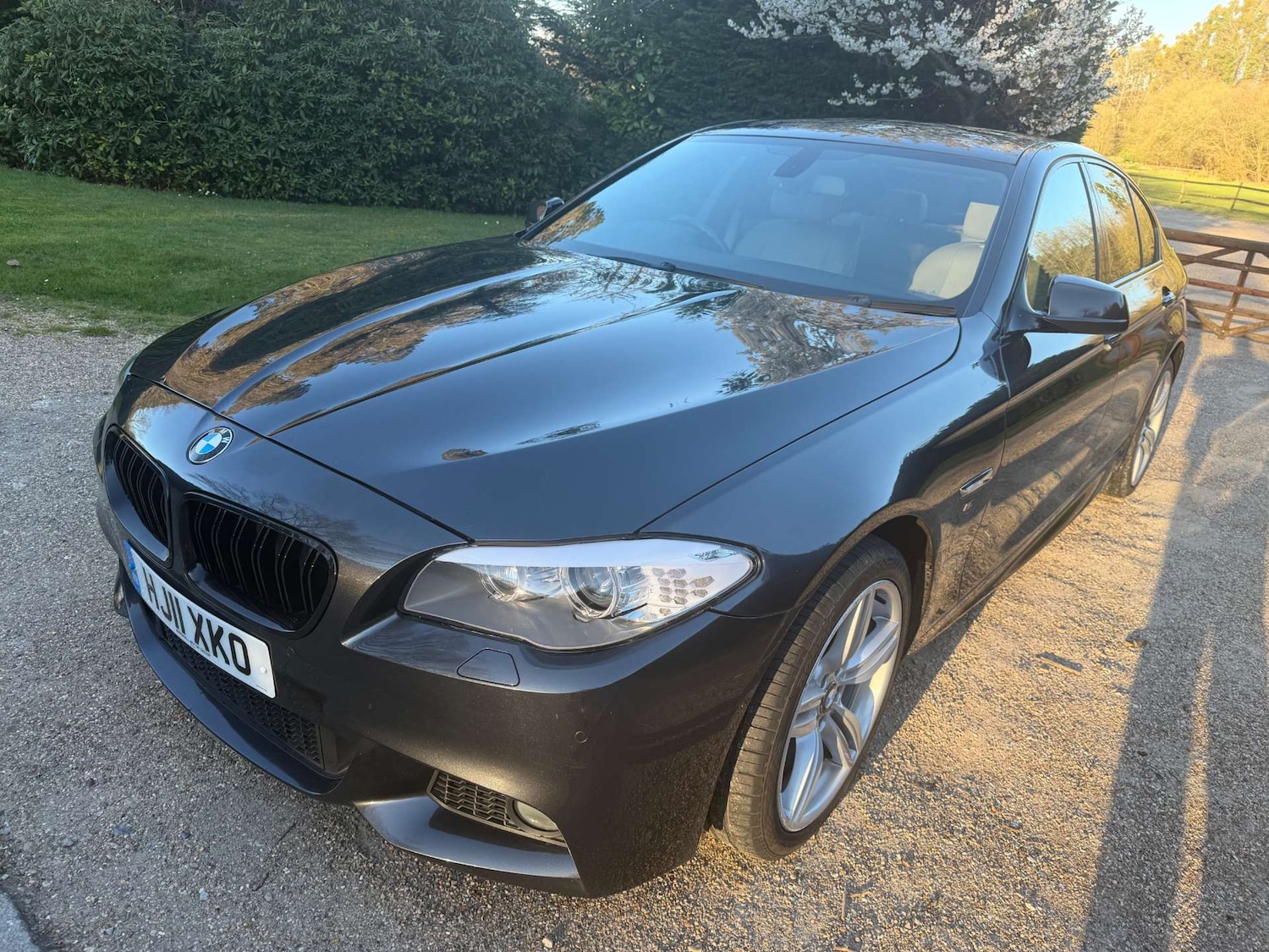 Used BMW 5 Series 2011 for sale - 77976981: Photo 30